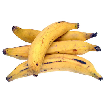 Plantain, Yellow EACH - Mr. Leafy