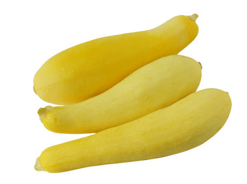 Squash, Yellow Fancy - Mr. Leafy