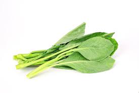 Cabbage, Yu Choy Per LB - Mr. Leafy