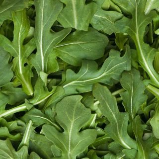Arugula, 4oz bag - Mr. Leafy