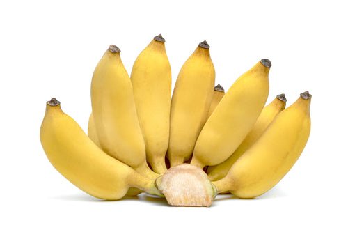 Banana, Baby 3lb - Mr. Leafy