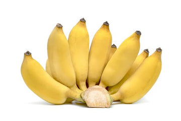 Banana, Baby 3lb - Mr. Leafy