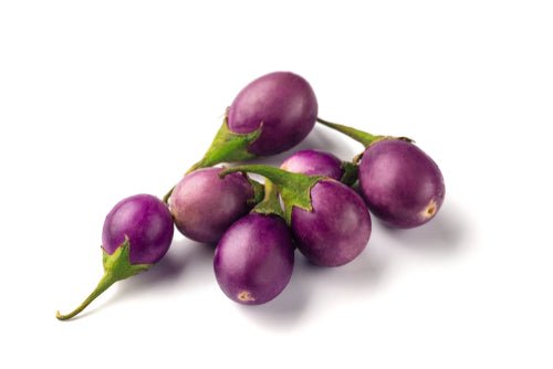 Eggplant, Purple Baby 8oz - Mr. Leafy