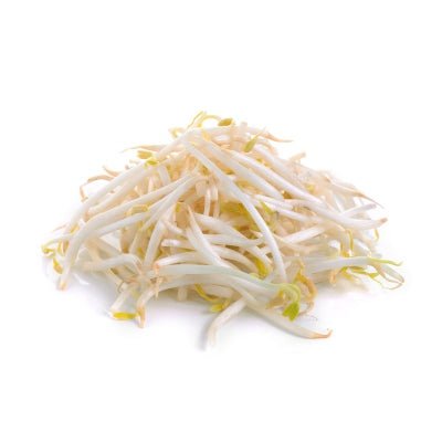 Sprouts, Bean 8oz Bag - Mr. Leafy
