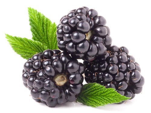 Blackberries, 6oz Container - Mr. Leafy