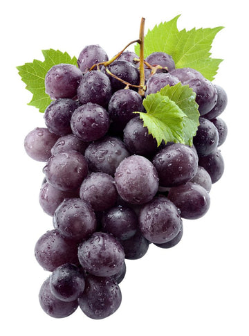 Grapes, Black Seedless 2 Pound Bag - Mr. Leafy