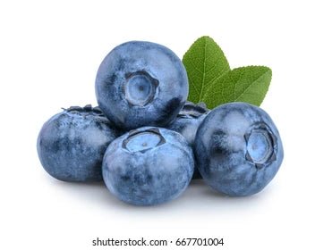 Blueberries, 6oz Container - Mr. Leafy