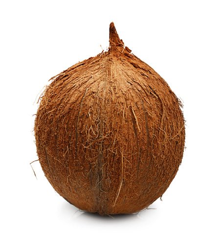 Coconut, Brown EACH - Mr. Leafy