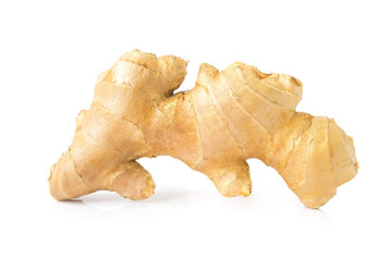 Ginger, Loose 8oz - Mr. Leafy