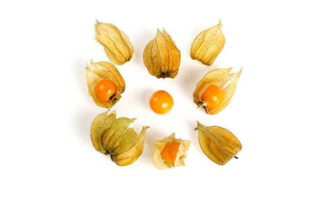 Fresh Golden Gooseberries – Sweet & Tangy, 1 Pint - Mr. Leafy