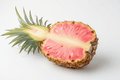 Pineapple, Pink - Mr. Leafy