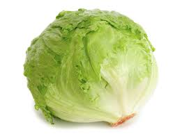 Lettuce, Iceberg Head - Mr. Leafy