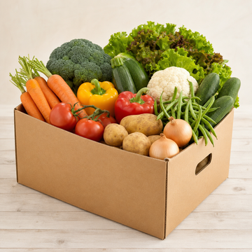 Vegetable Box Large