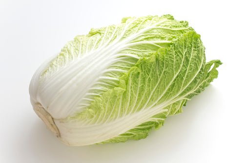 Cabbage, Nappa - Mr. Leafy