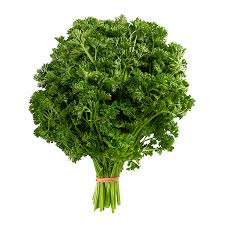 Parsley, Curly - Mr. Leafy