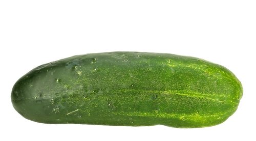 Cucumber, Pickling 8oz Pack - Mr. Leafy