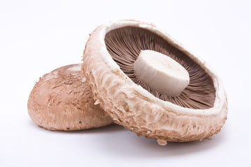Mushroom, Portabella Medium Sized EACH - Mr. Leafy