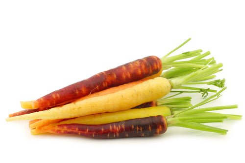 Carrots, Baby Peeled Mixed Color with 1" top 8oz - Mr. Leafy