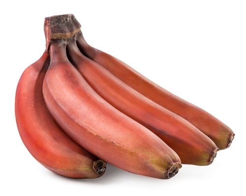 Banana, Red 3lb - Mr. Leafy
