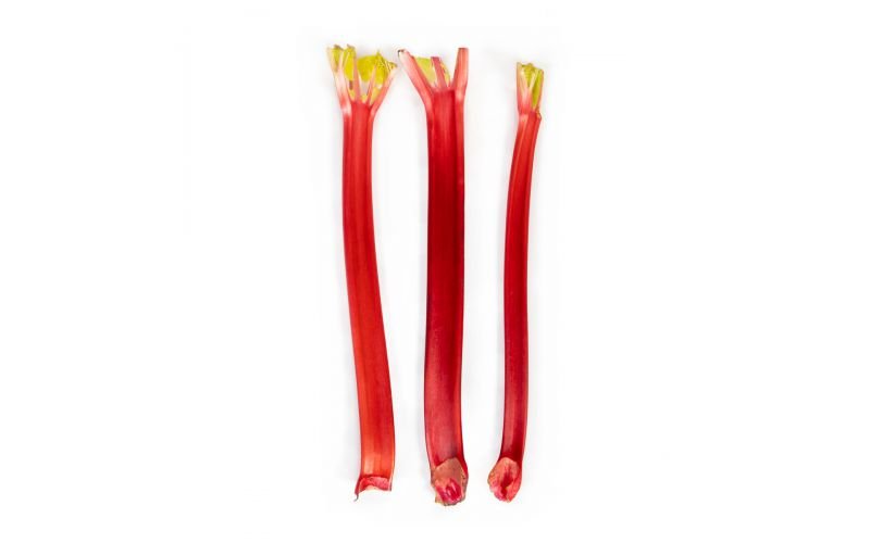 Fresh Rhubarb Stalks – Tart & Flavorful, 8 oz - Mr. Leafy