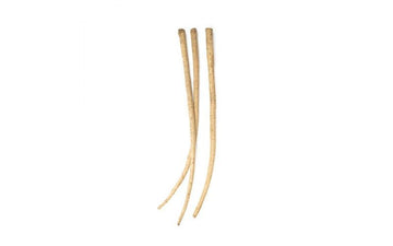 Fresh Burdock Root – Earthy & Versatile, 1 lb - Mr. Leafy