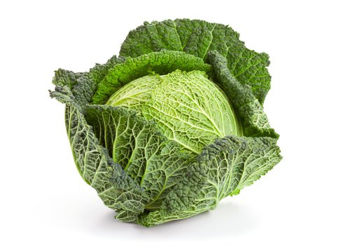 Cabbage, Savoy - Mr. Leafy