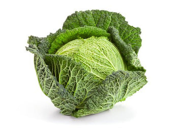 Cabbage, Savoy - Mr. Leafy