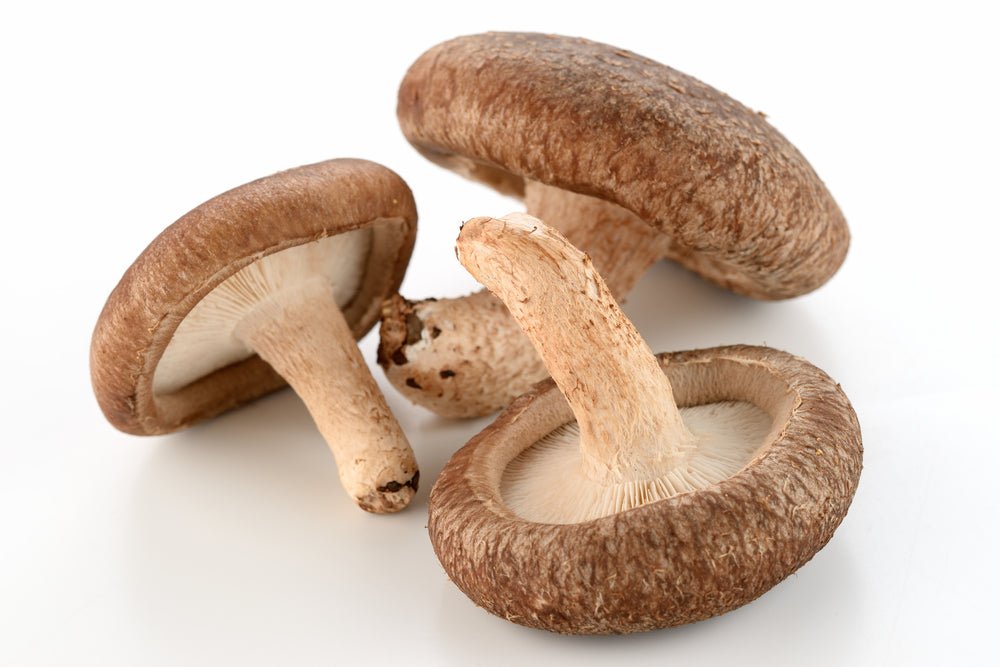 Mushroom, Shitake 8oz - Mr. Leafy