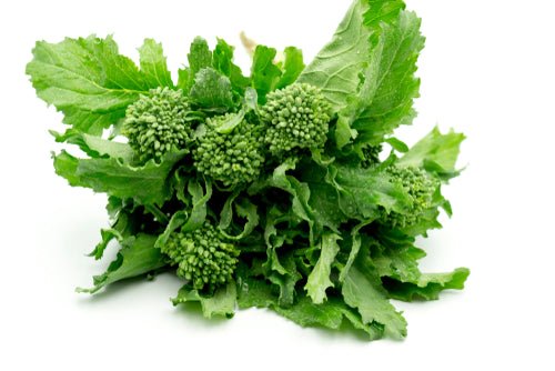 Broccoli, Rabe Rapini Bunch - Mr. Leafy
