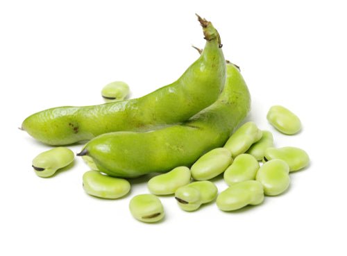 Bean, Fava Per Pound - Mr. Leafy