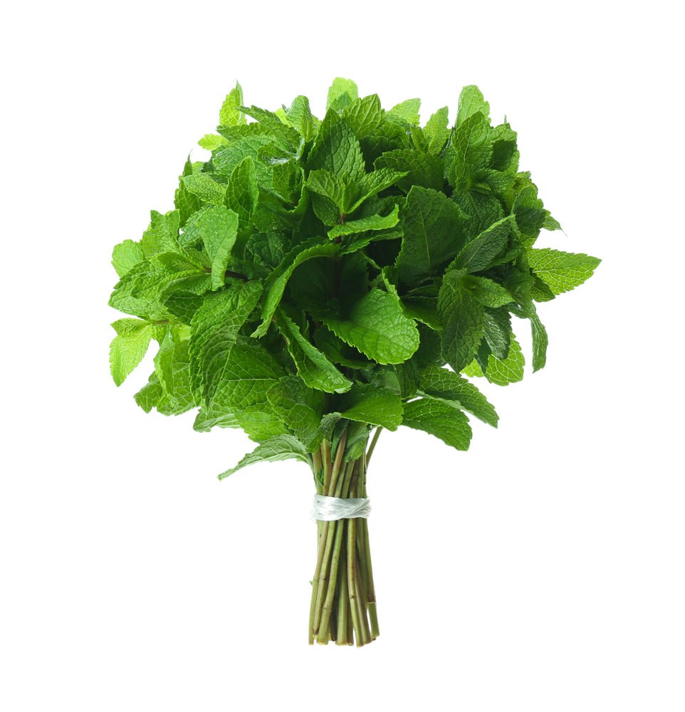 Herb, Mint Bunch - Mr. Leafy