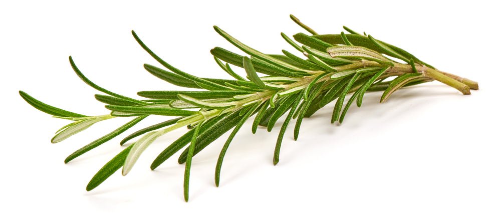 Herb, Rosemary Bunch - Mr. Leafy
