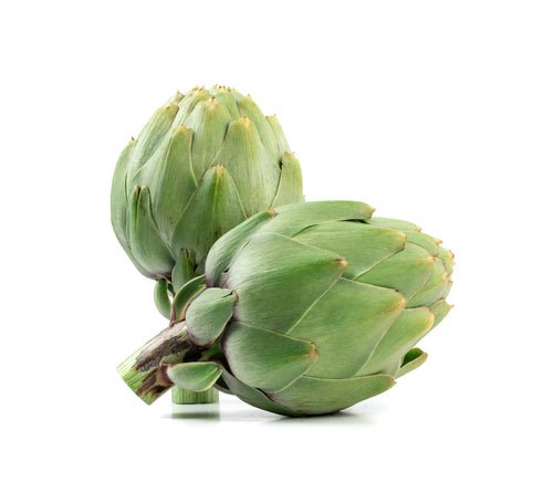 Artichoke, Large - Mr. Leafy