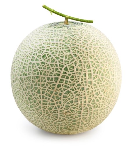 Cantaloupe Melon - Mr. Leafy