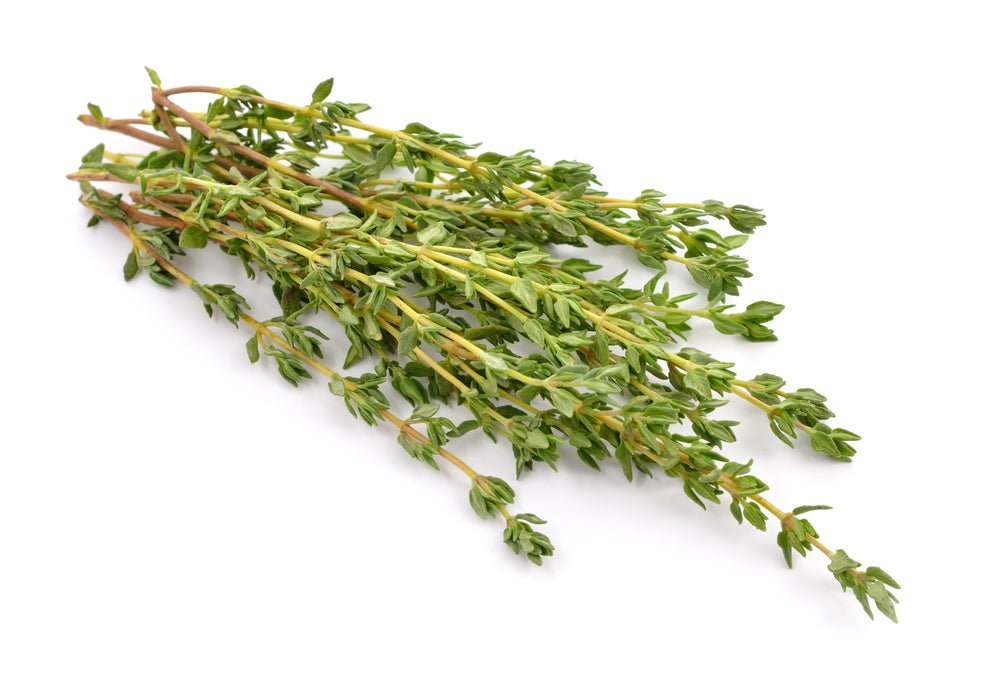 Herb, Thyme Bunch - Mr. Leafy