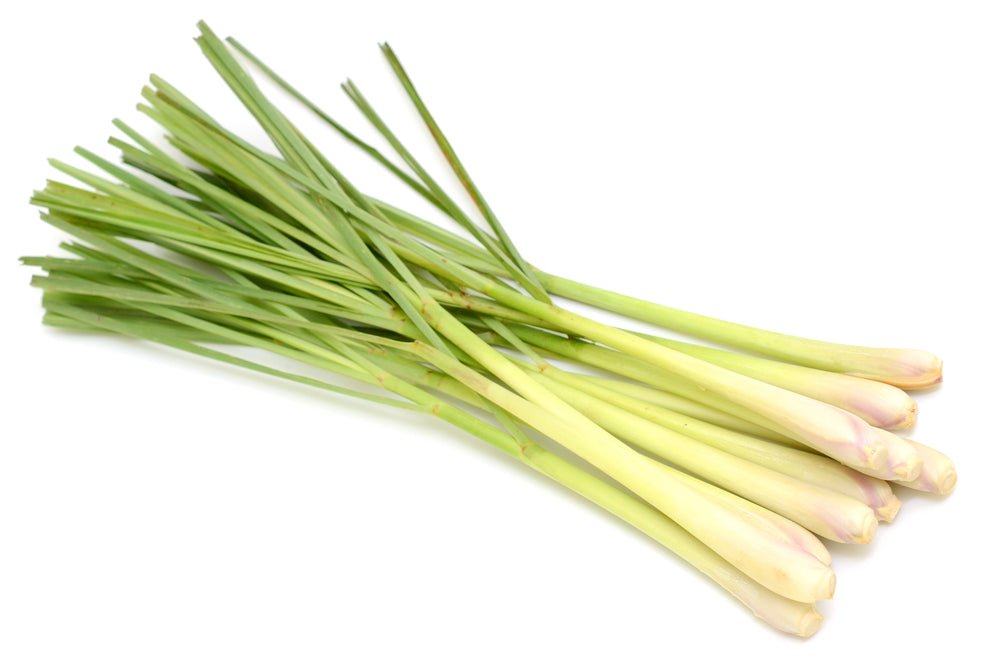 Lemongrass Bunch - Mr. Leafy