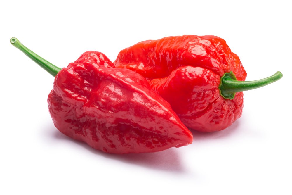 Pepper, Ghost 1.75oz - Mr. Leafy