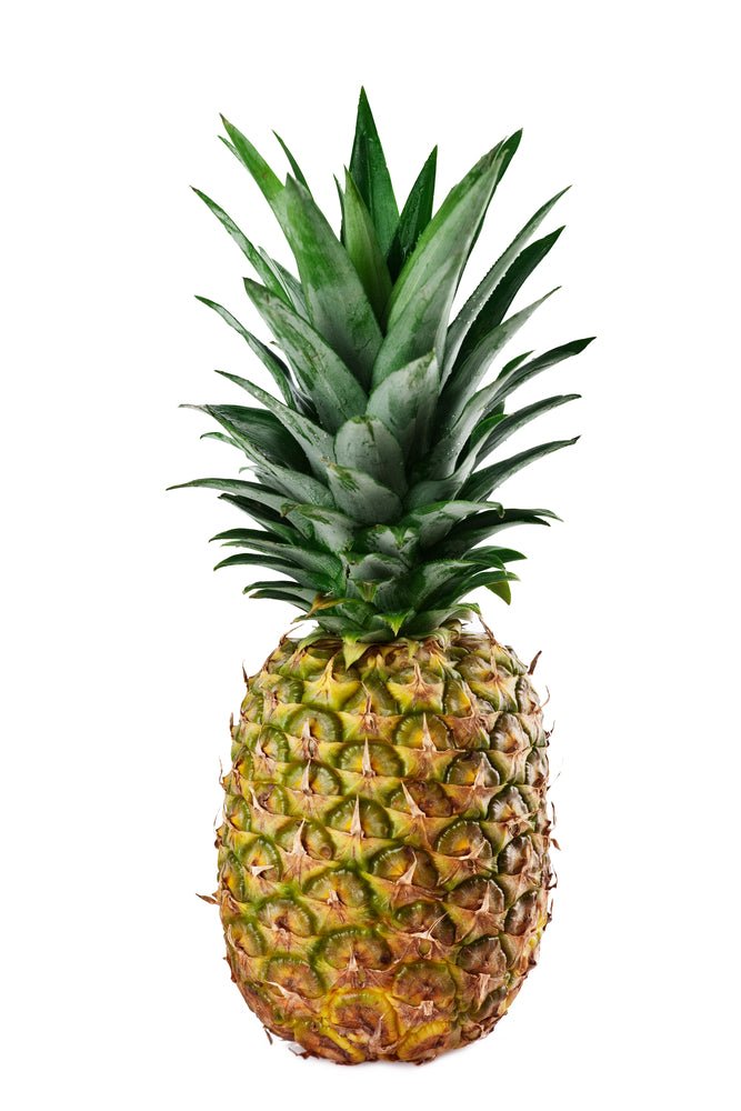 Pineapple, Golden - Mr. Leafy