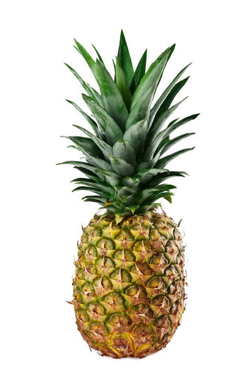 Pineapple, Golden - Mr. Leafy