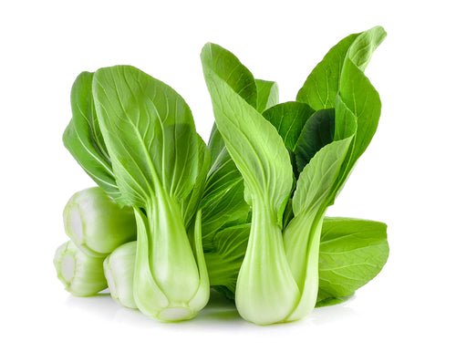 Cabbage, Bok Choy Shang Hai Sold Per LB. - Mr. Leafy