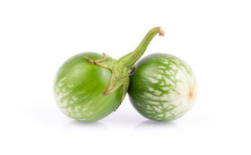 Eggplant, Thai Green 4oz - Mr. Leafy
