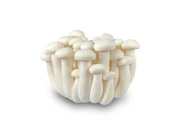 Mushroom, White Beech 150g - Mr. Leafy