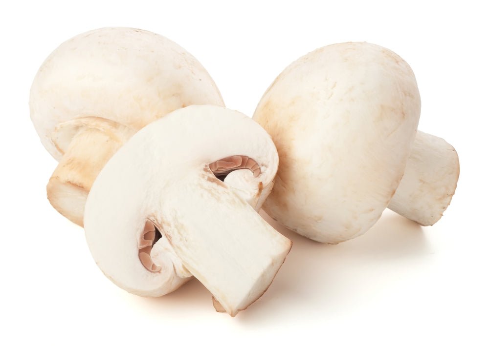 Mushroom, White 8oz - Mr. Leafy