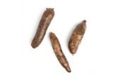 Yucca Root EACH - Mr. Leafy