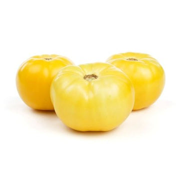 Tomato, Yellow Beefstake Large - Mr. Leafy